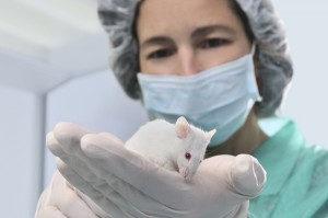 синхронность