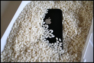 iPhone в рисе
