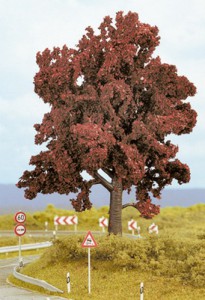 красный бук